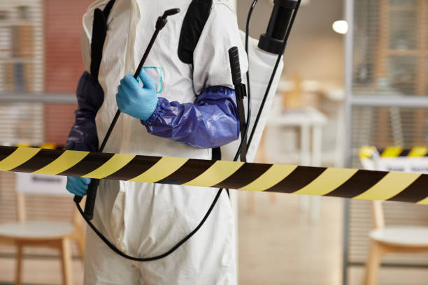 Professional Hoarding Cleanup technician working in Delmont, NJ